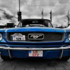 Ford Mustang #2