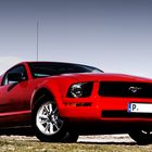 Ford Mustang 2006