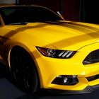 Ford Mustang / 2017 GT