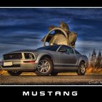 *Ford Mustang*