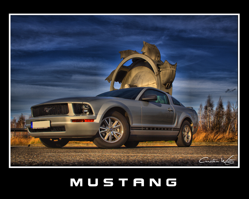 *Ford Mustang*