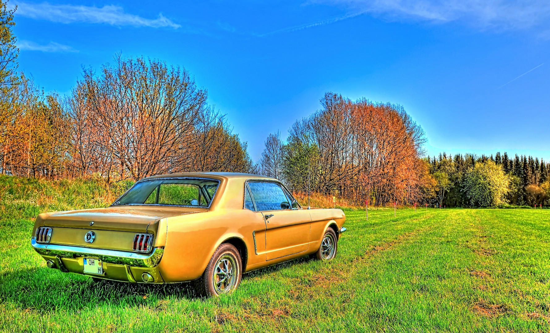 Ford Mustang