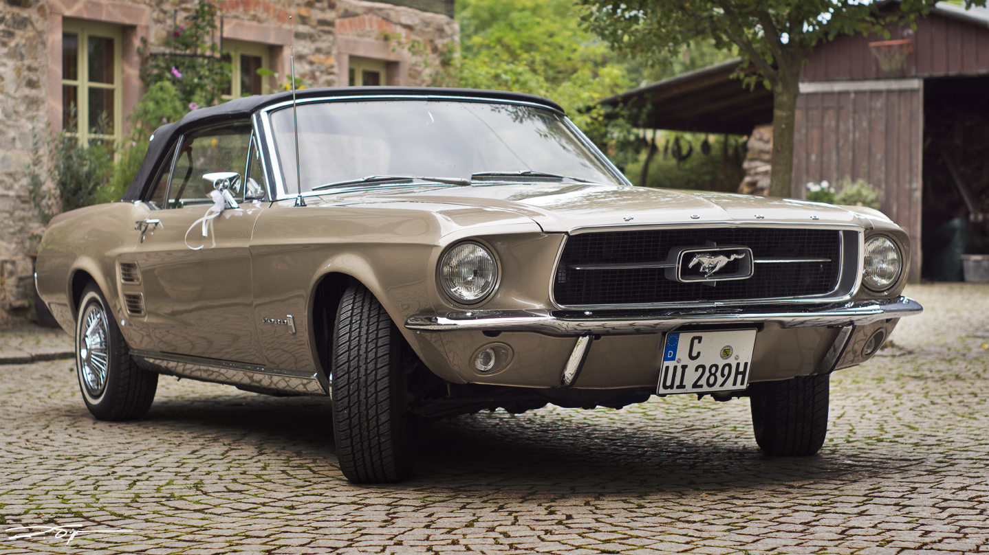 Ford Mustang 3