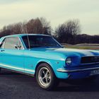 Ford Mustang 66