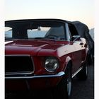 Ford Mustang (67er Cabrio) 3
