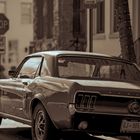 Ford Mustang - Classic 