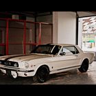 Ford Mustang - Classic Days