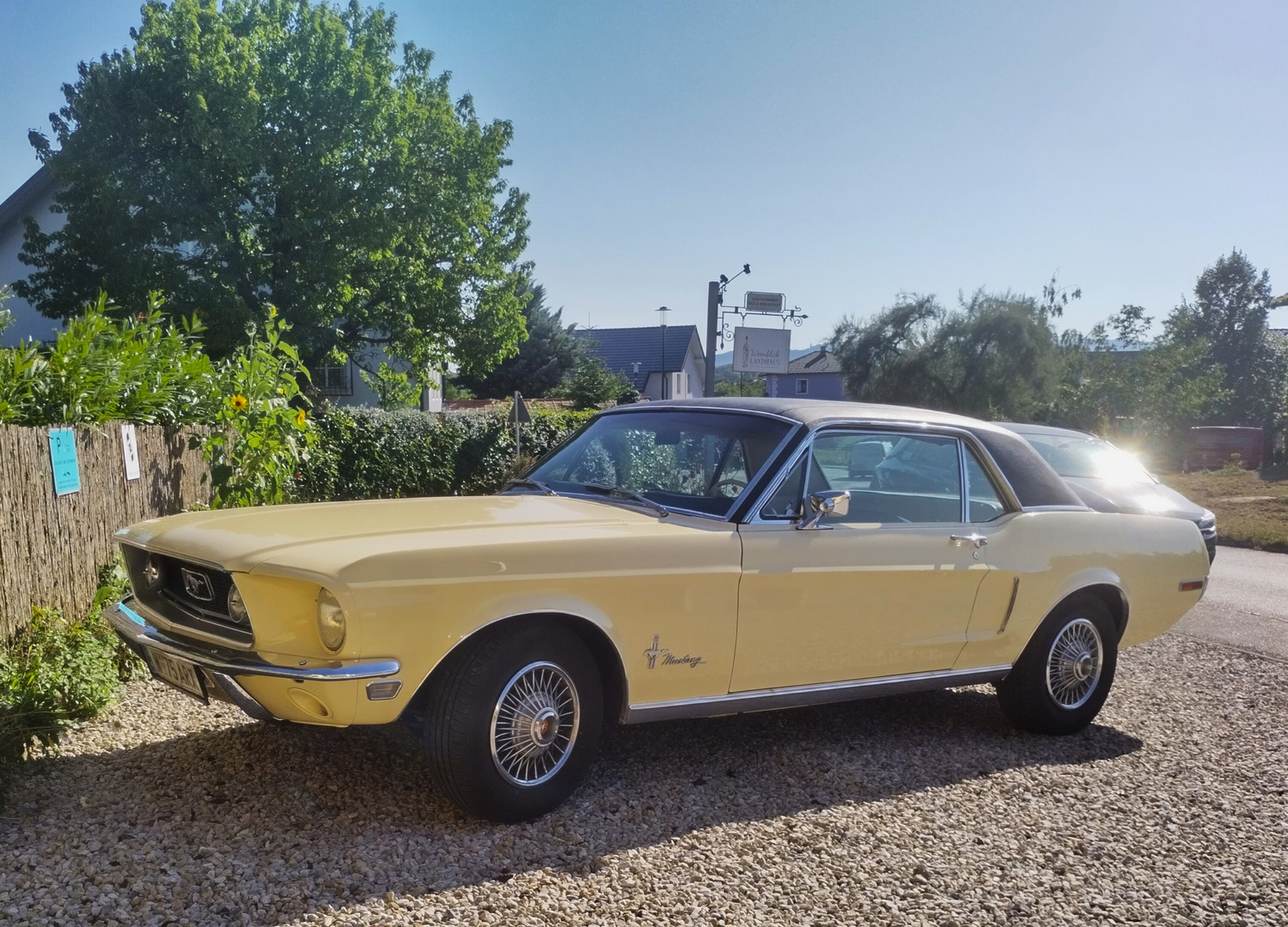 Ford Mustang 