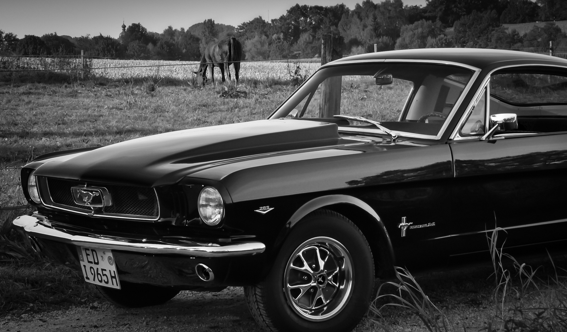 Ford Mustang Fastback 1965