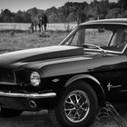 Ford Mustang Fastback 1965