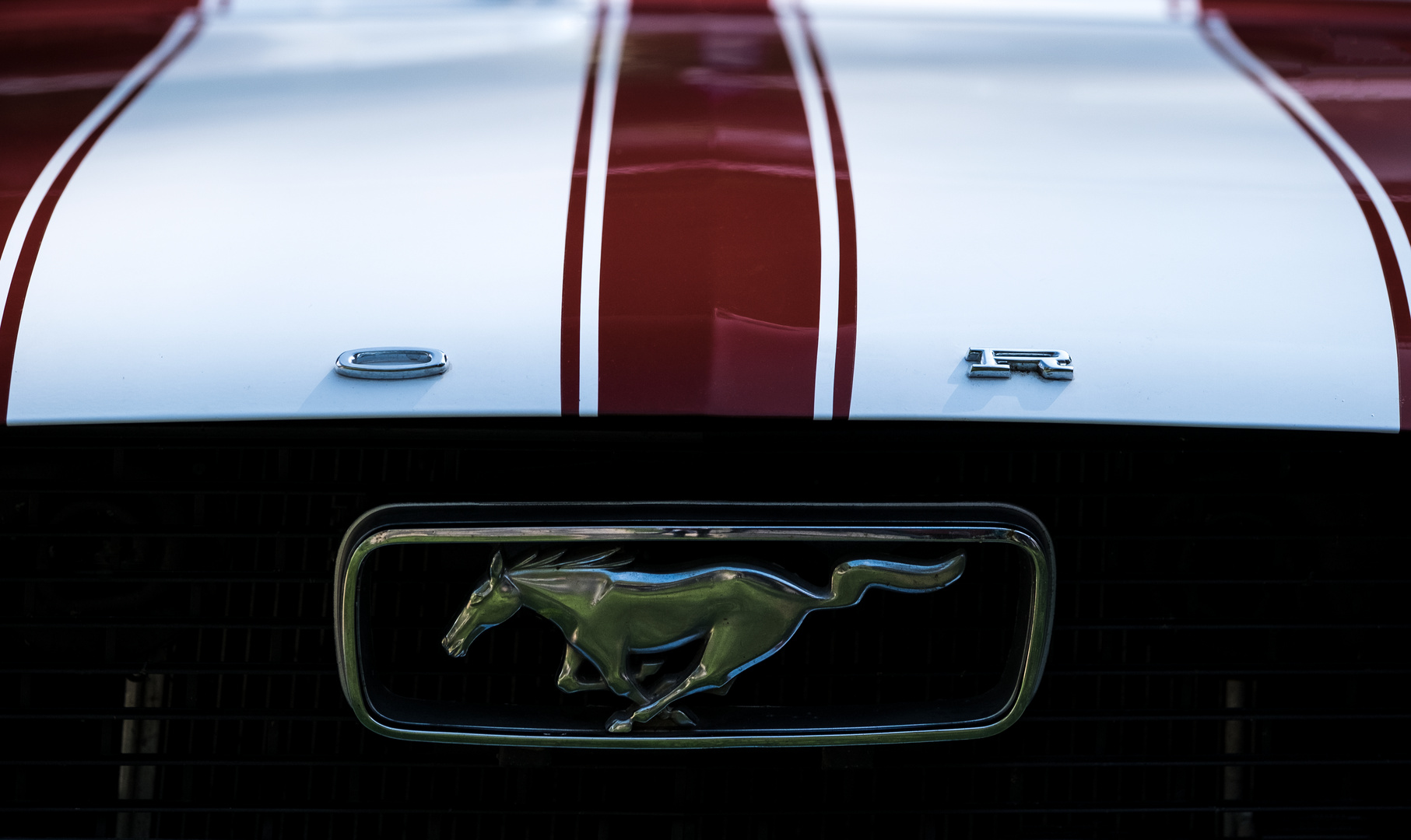 Ford Mustang ganz nah
