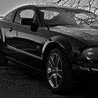 Ford Mustang GT 2010