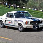 Ford Mustang GT 350