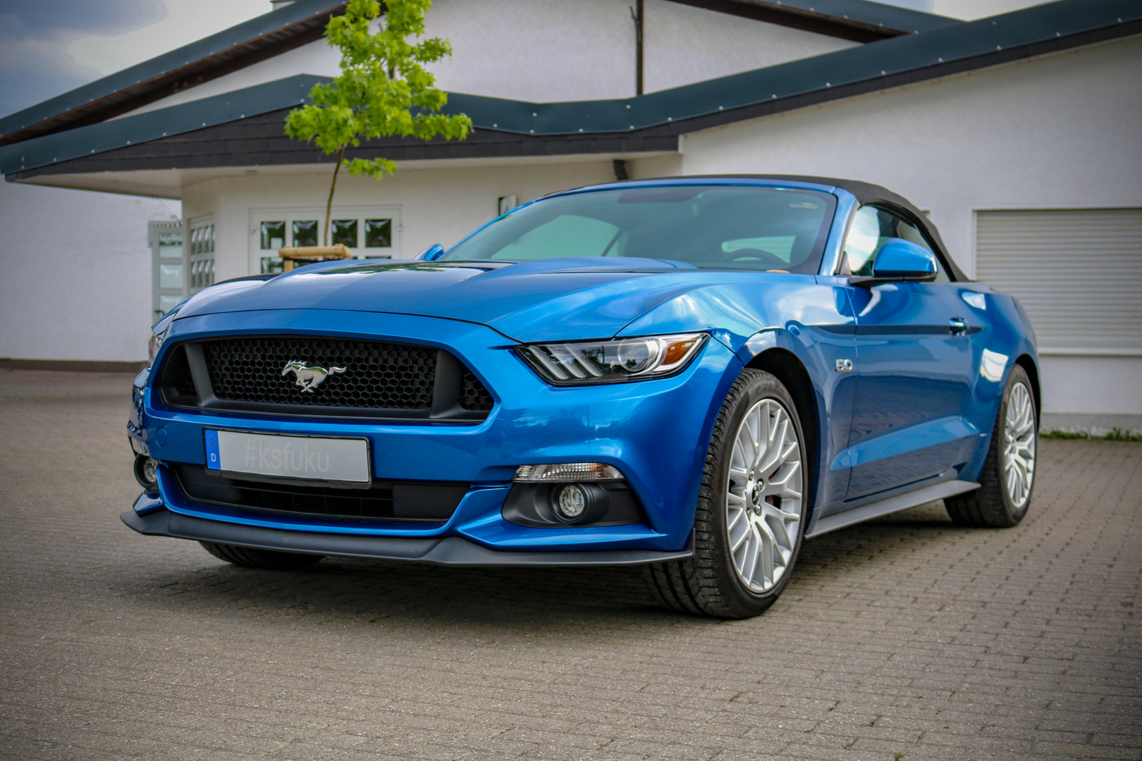 Ford Mustang GT Foto & Bild automotive , sport