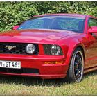 Ford Mustang GT (Modell 2007)