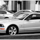 Ford Mustang GT (neu) in Dubai