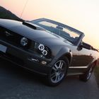 Ford Mustang GT V8