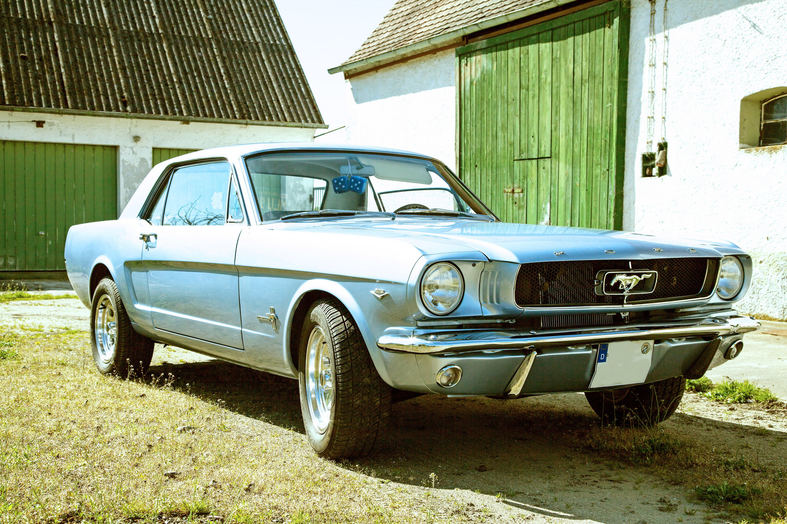 Ford Mustang in a old Farm II