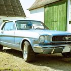 Ford Mustang in a old Farm II
