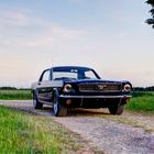 Ford Mustang in Nightmist Blue