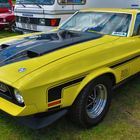 Ford Mustang Mach 1