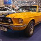 Ford Mustang / Motor Show Essen 2012