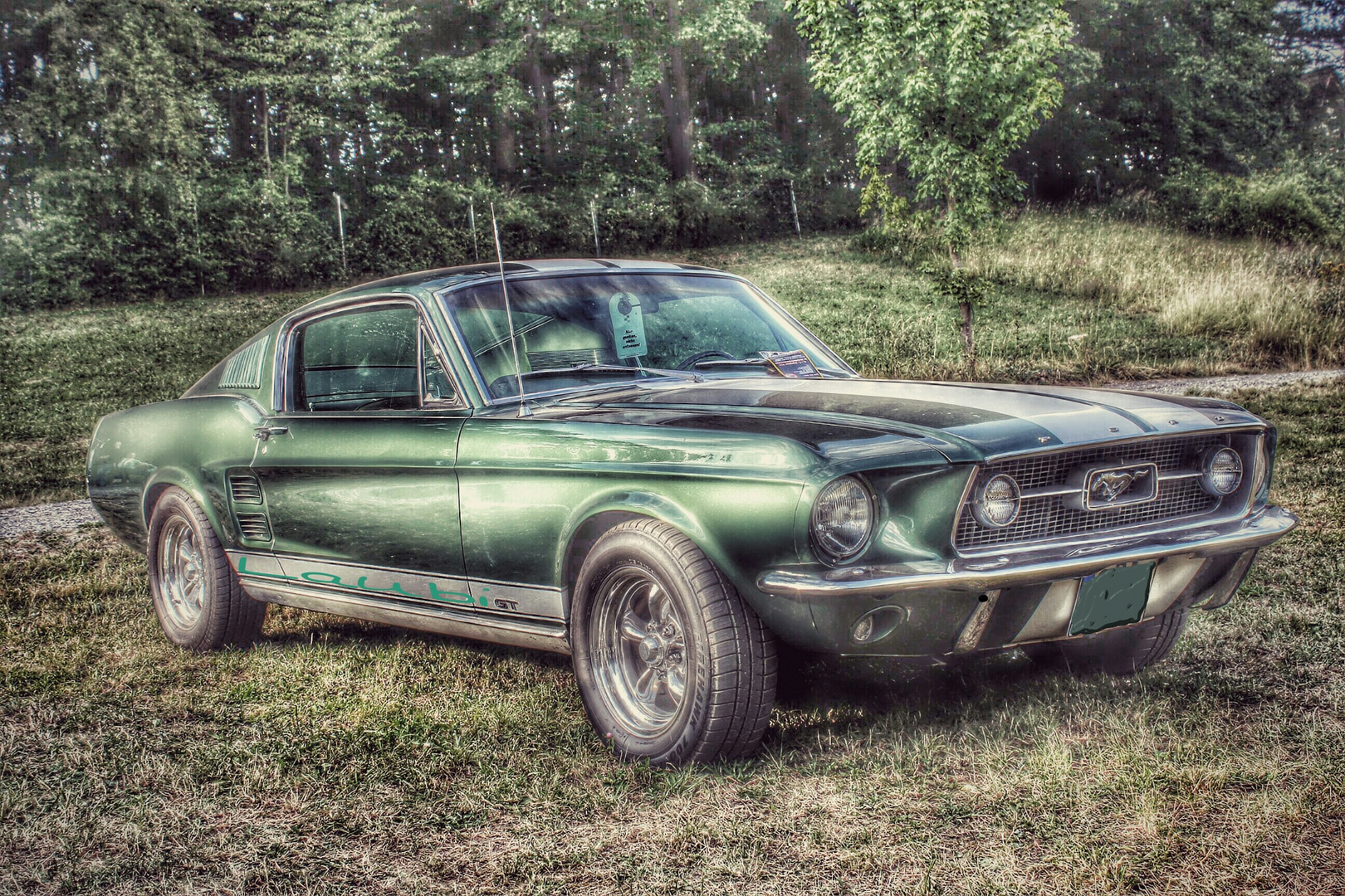 Ford Mustang Nr. 1