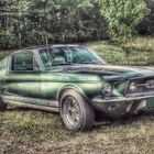 Ford Mustang Nr. 1