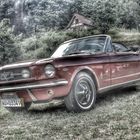 Ford Mustang Nr. 2