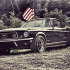 Ford Mustang Nr. 3