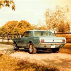 Ford Mustang ** Retro Look **