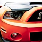 Ford Mustang Shelby