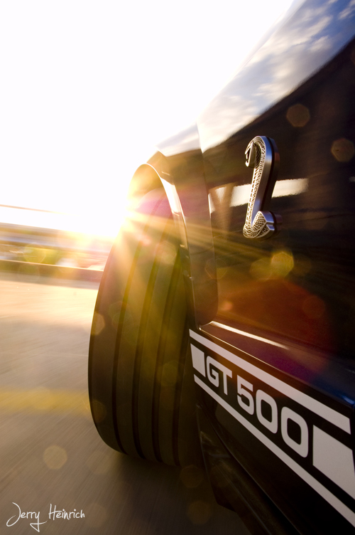 Ford Mustang Shelby GT 500 in Action