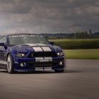 Ford Mustang Shelby I