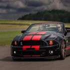 Ford Mustang Shelby III