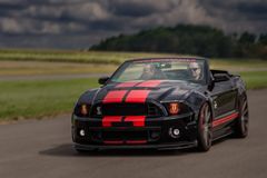 Ford Mustang Shelby III