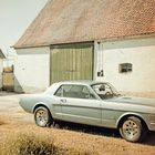 Ford Mustang - tolle Stimmung
