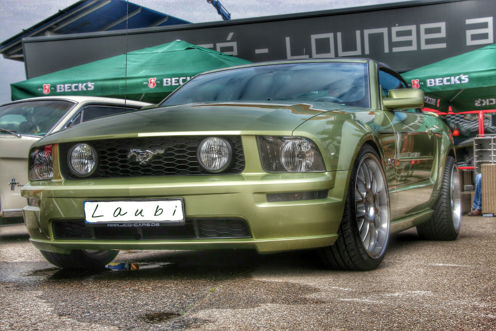 Ford Mustang - Treffen 2015