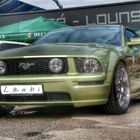 Ford Mustang - Treffen 2015