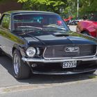 Ford Mustang + US-Car Treffen-V08