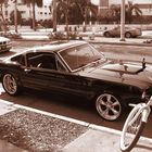 Ford Mustang V8 in Miami