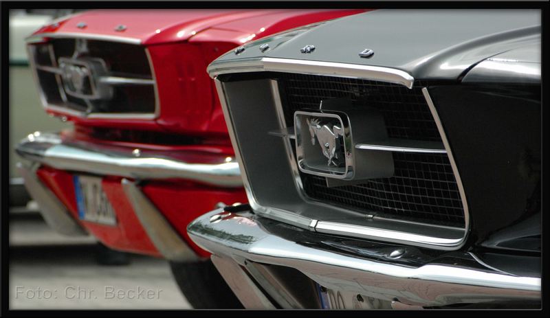 Ford Mustang2