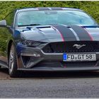 FORD MUSTANG_GT