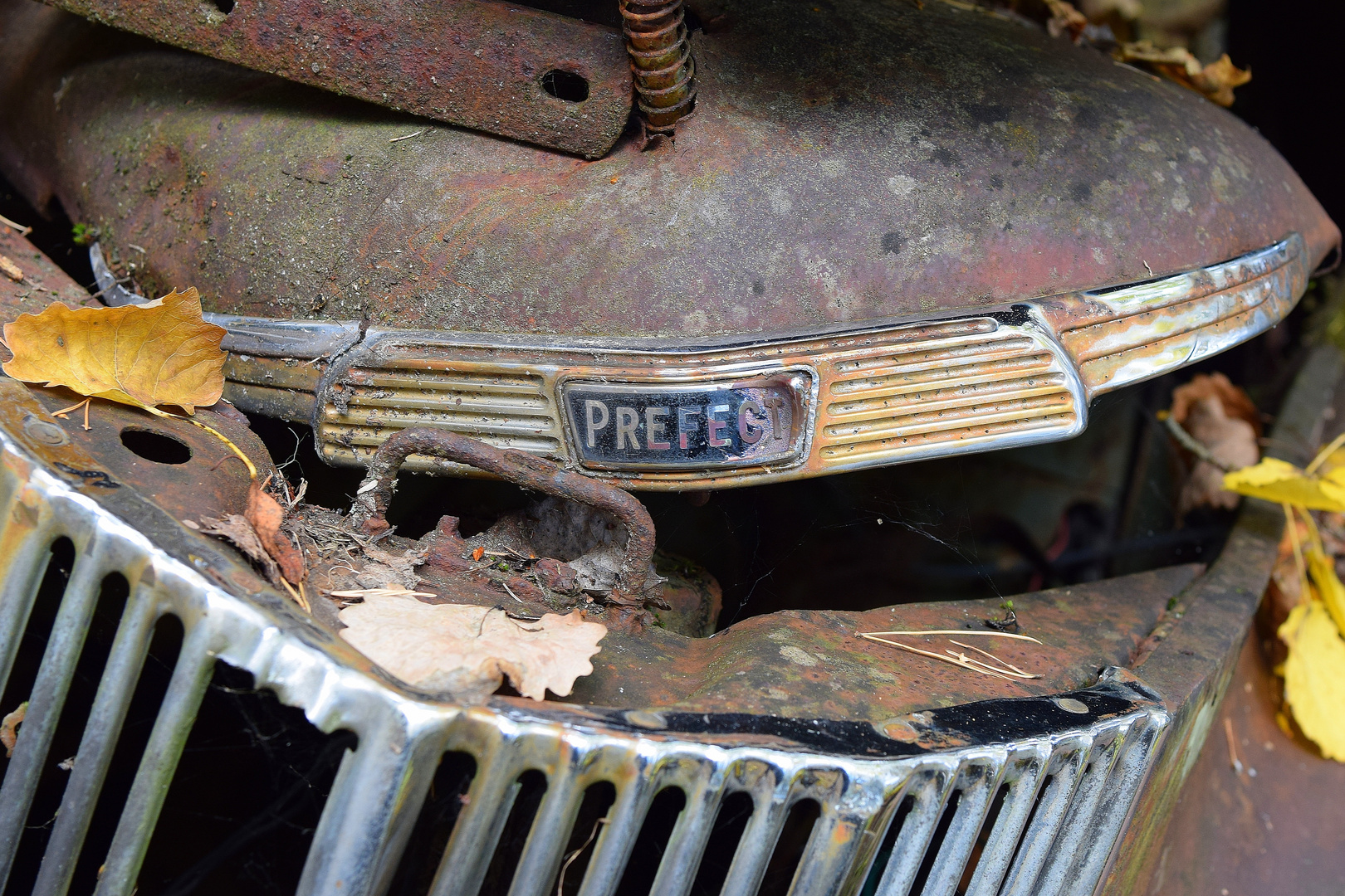 Ford Prefect 1949 - 1953