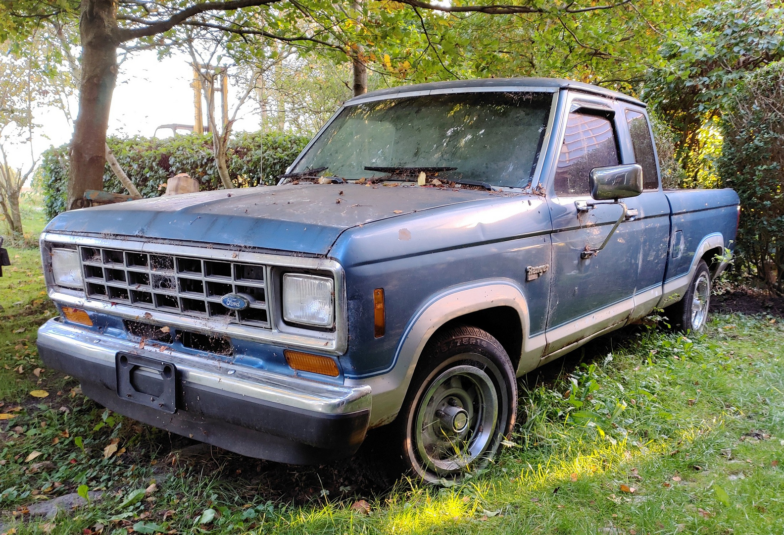 Ford Ranger im Dornröschenschlaf