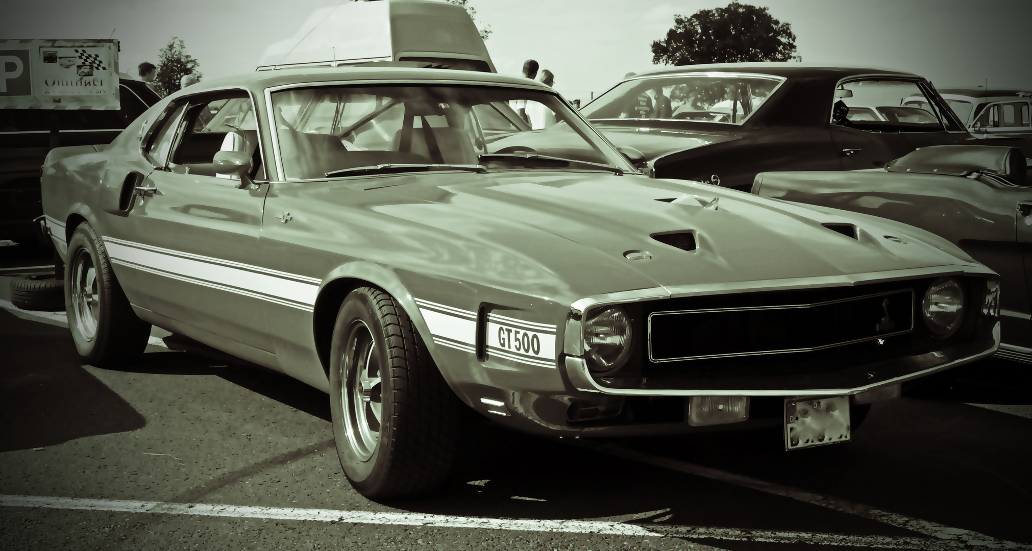 Ford Shelby GT 500