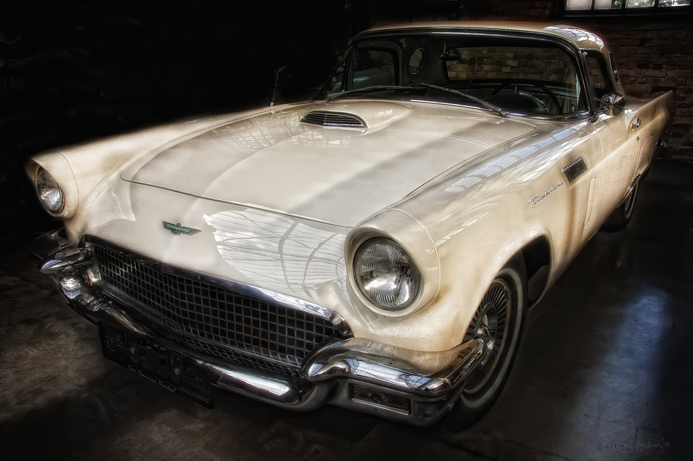 Ford Thunderbird 1955