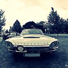 Ford Thunderbird - Oldies 2014