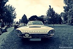 Ford Thunderbird - Oldies 2014