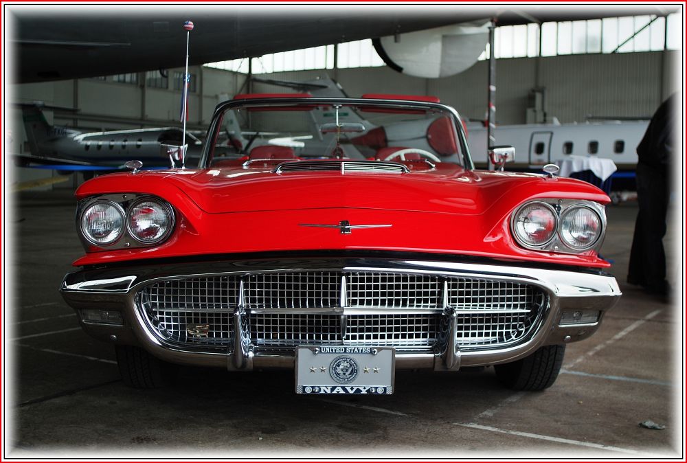 Ford Thunderbird - Square Birds